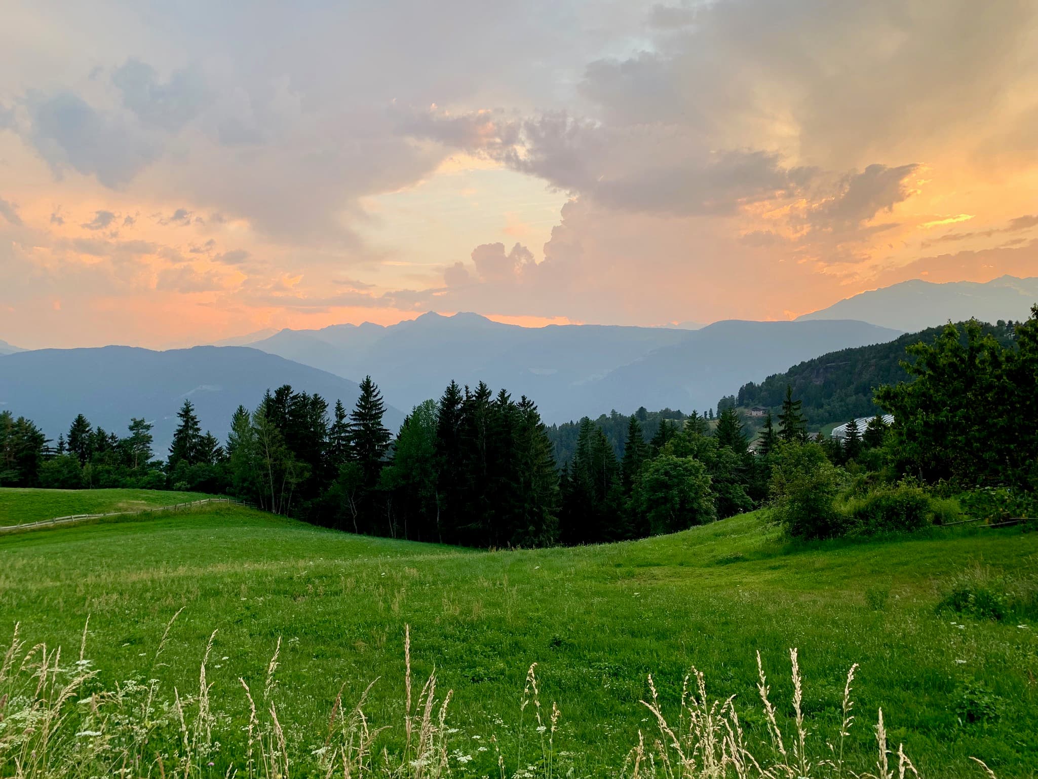 Verano fields at sunset