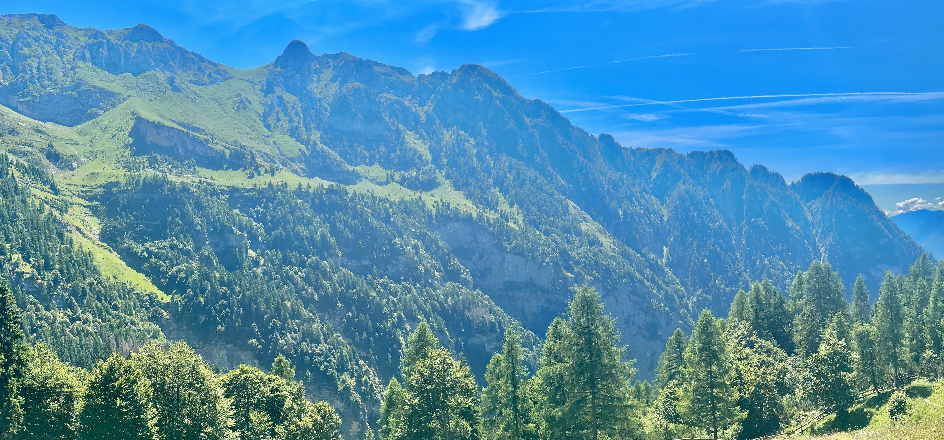 Green valley panorama in South Tyrol