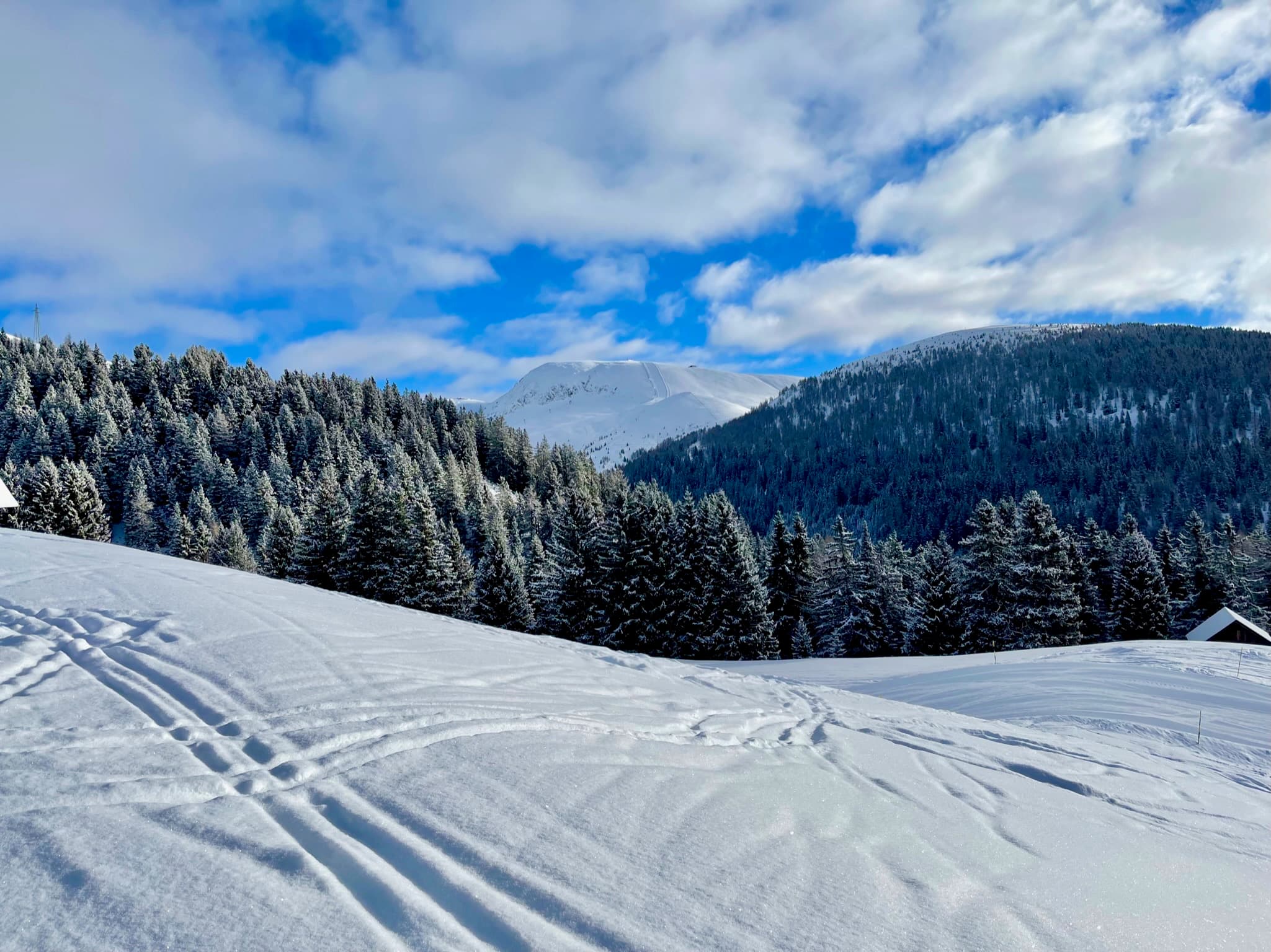 Snow-covered winter landscape in Verano