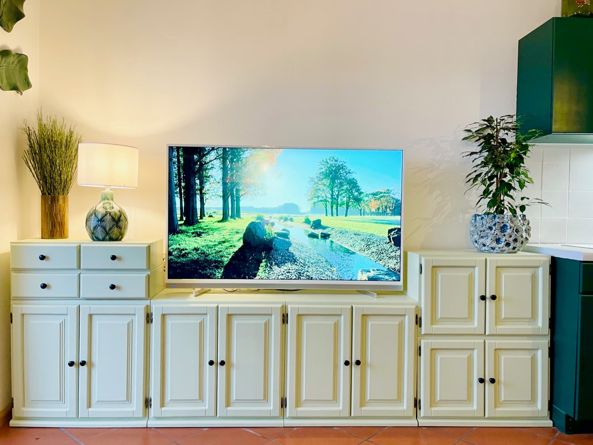 Living room with television