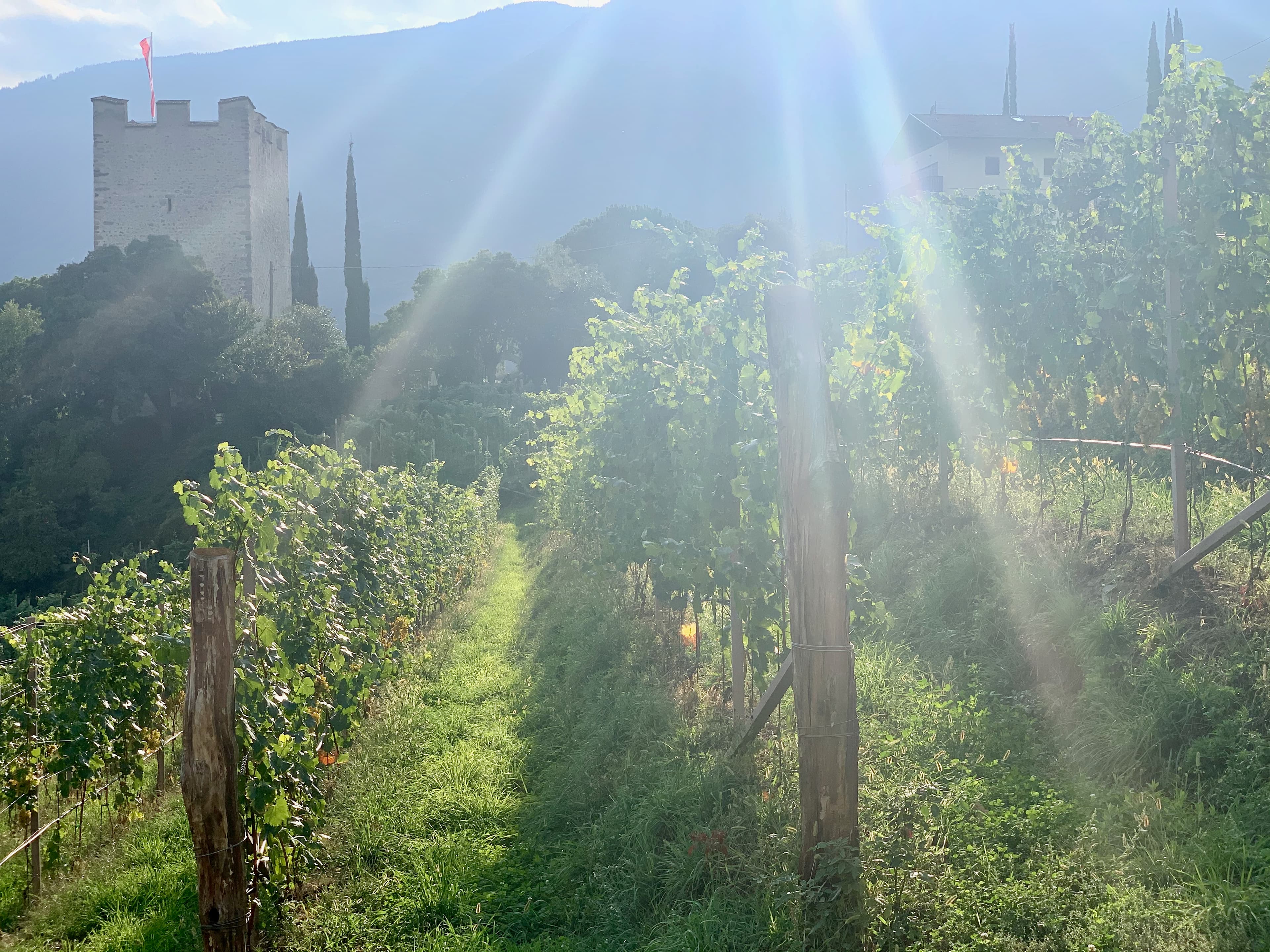 Merano